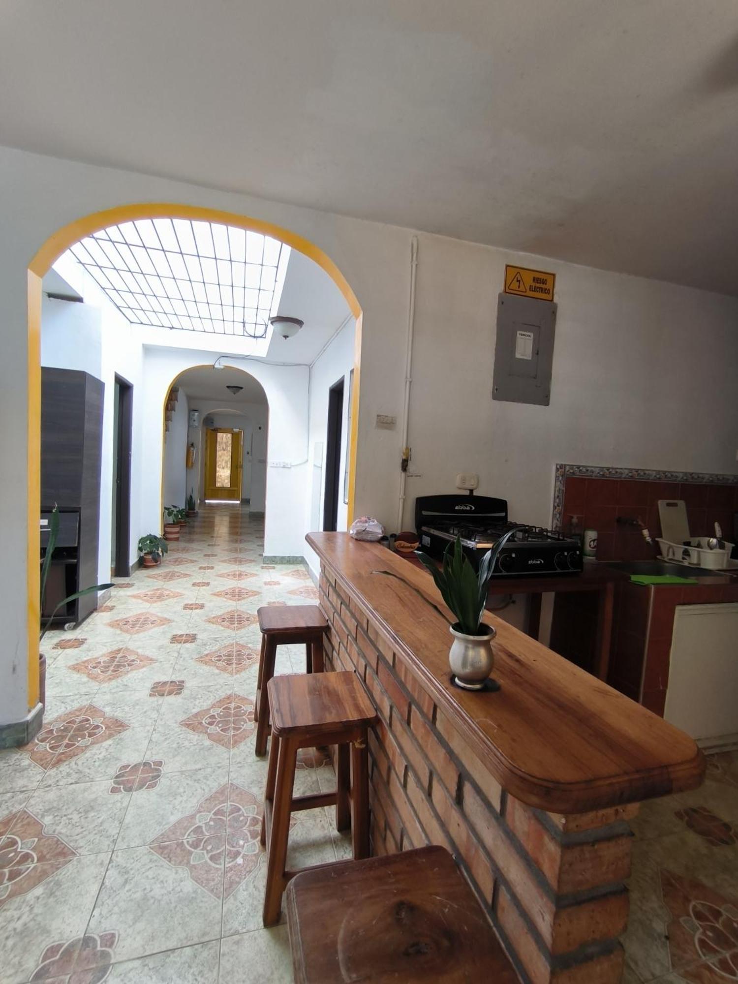 Magic - Patio, Balcony & Rooftop Jardin