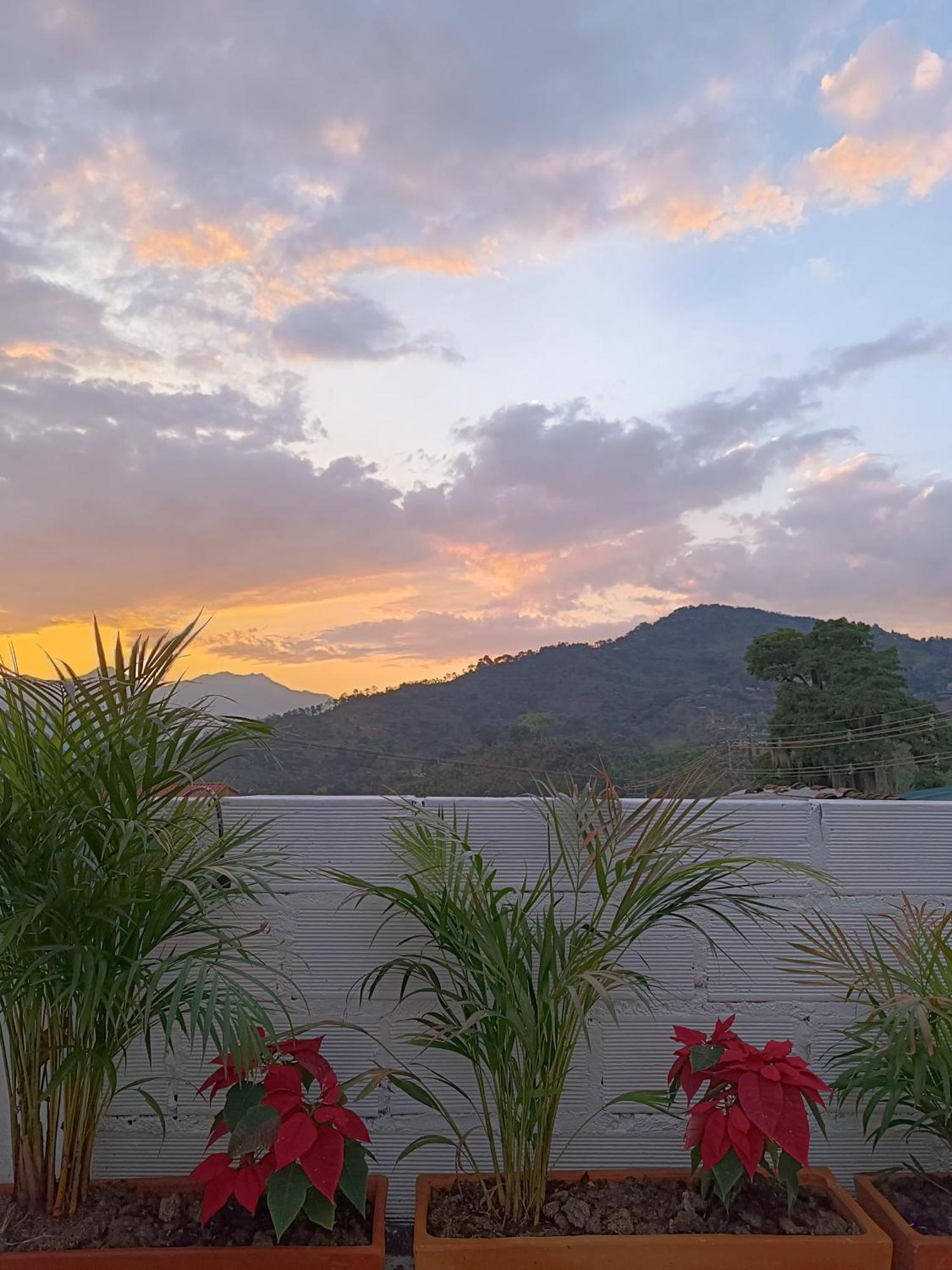 Magic - Patio, Balcony & Rooftop Jardin