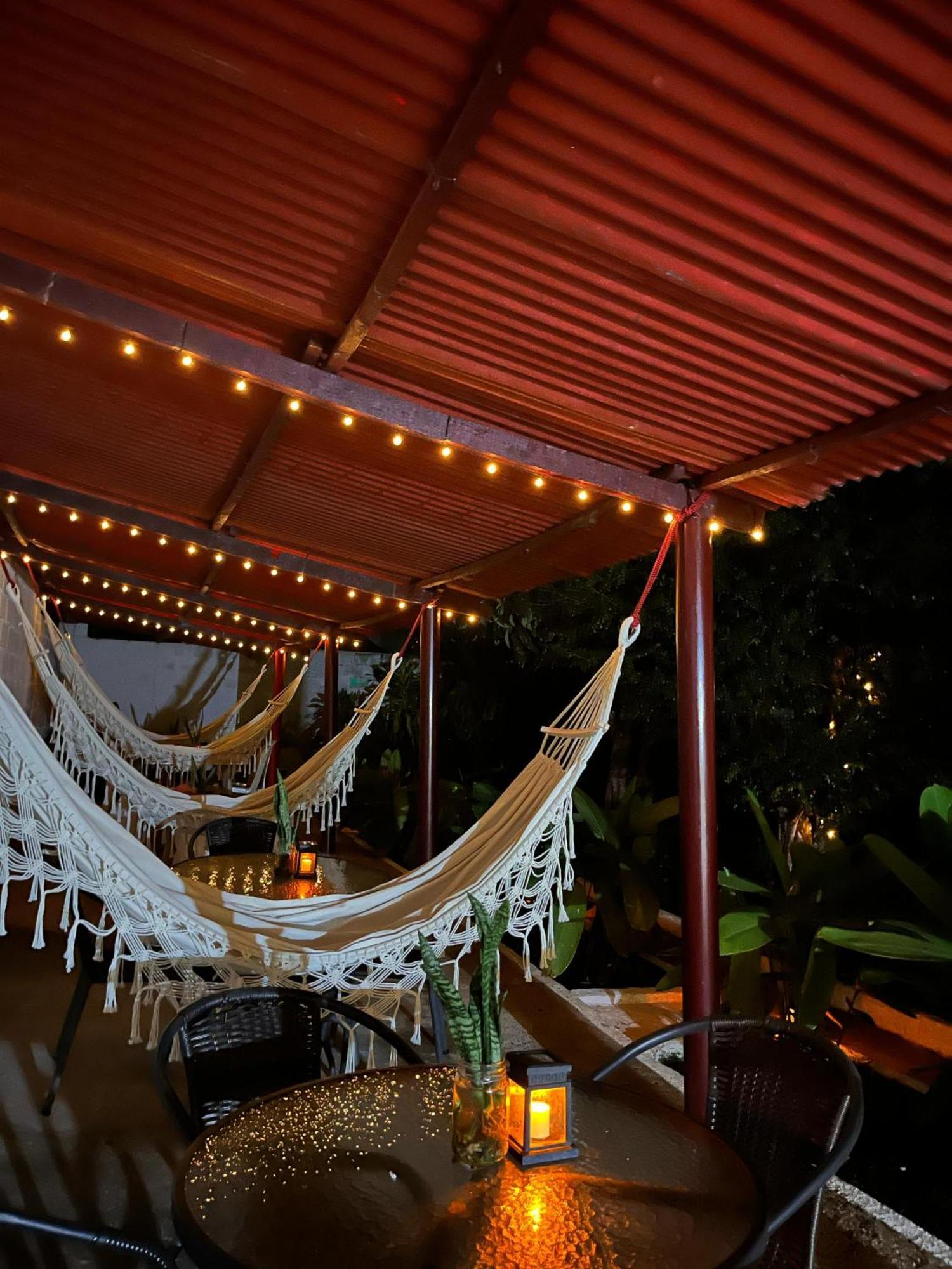 Magic - Patio, Balcony & Rooftop * Jardin